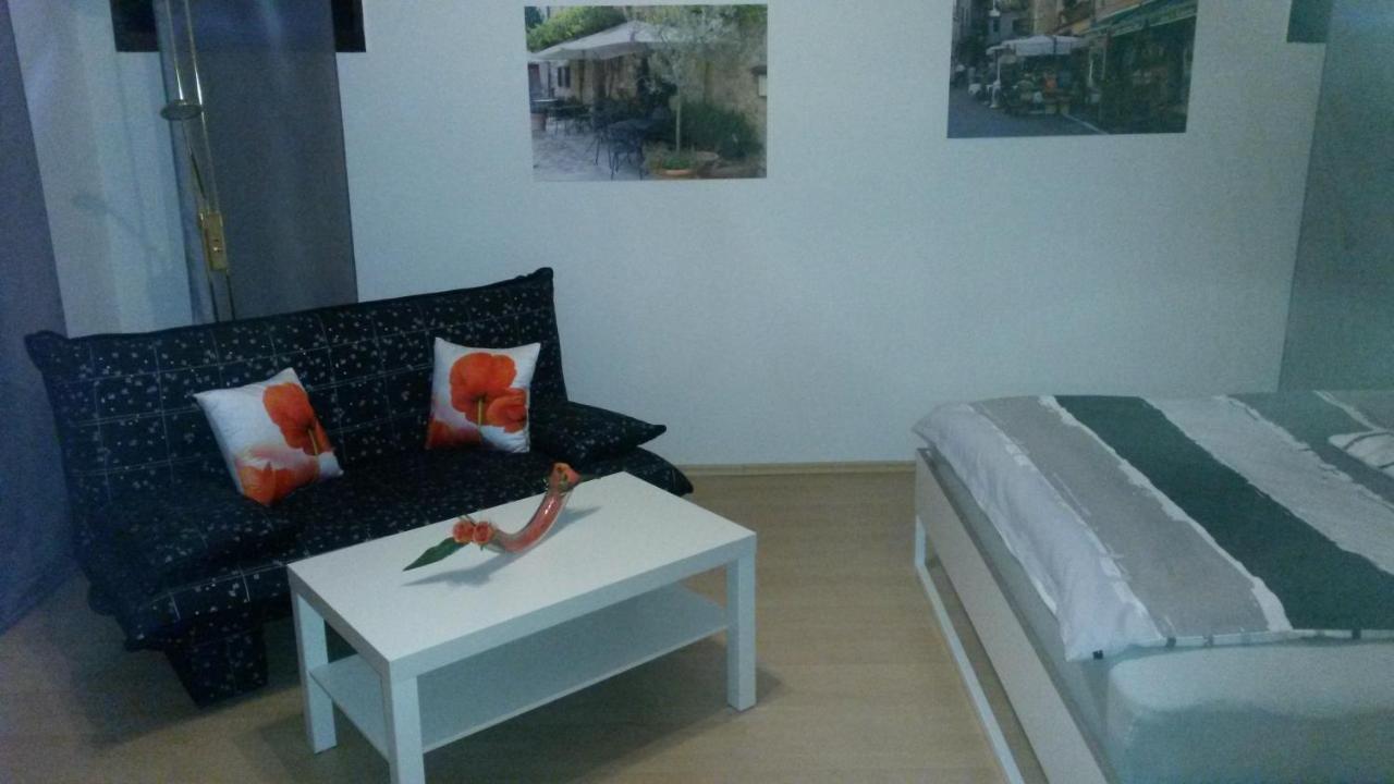 Ferienwohnung Keine Monteurvermietung Naehe Heidelberg Hockenheim Bds Anlage Филипсбург Екстериор снимка