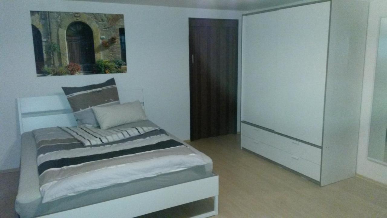 Ferienwohnung Keine Monteurvermietung Naehe Heidelberg Hockenheim Bds Anlage Филипсбург Екстериор снимка