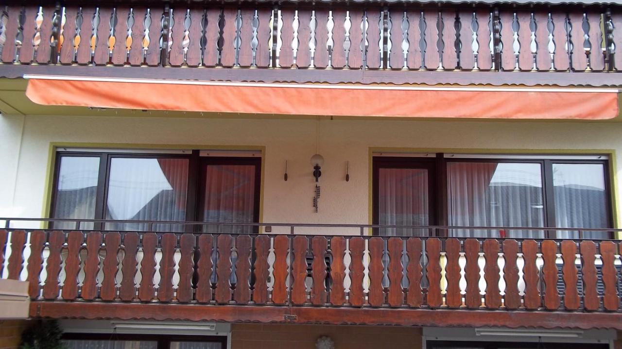Ferienwohnung Keine Monteurvermietung Naehe Heidelberg Hockenheim Bds Anlage Филипсбург Екстериор снимка