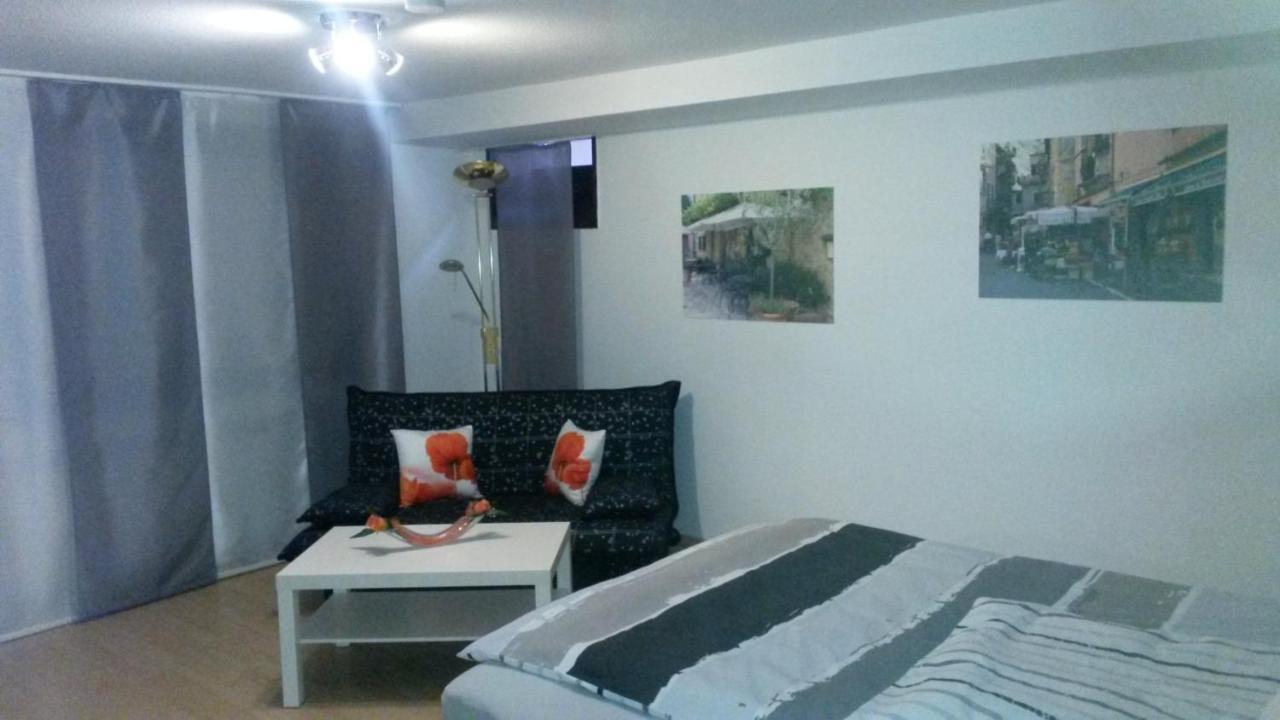 Ferienwohnung Keine Monteurvermietung Naehe Heidelberg Hockenheim Bds Anlage Филипсбург Екстериор снимка